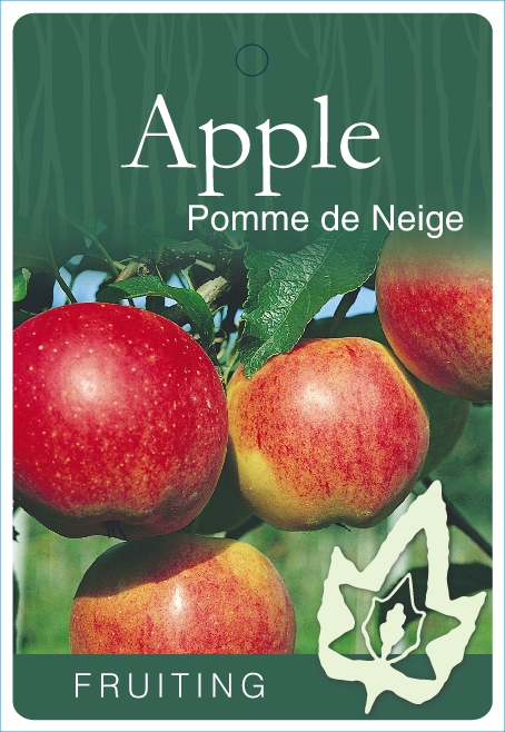 Apple Pomme De Neige Blerick Tree Farm